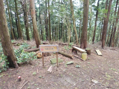 画像14
